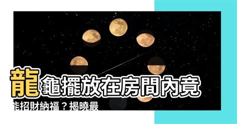 龍龜擺放臥室|龍龜可以放房間嗎？臥室擺放助好眠、保平安 